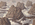 W. HarmsBerge